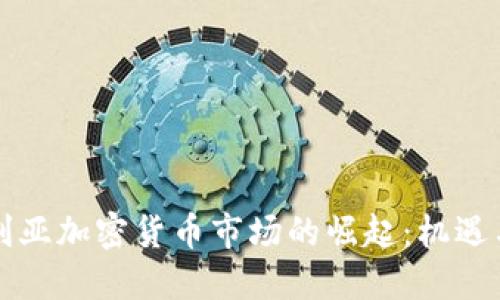 尼日利亚加密货币市场的崛起：机遇与挑战