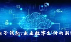 IM电子钱包：未来数字支付