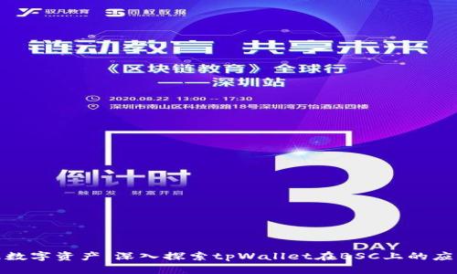 轻松管理数字资产：深入探索tpWallet在BSC上的应用与优势