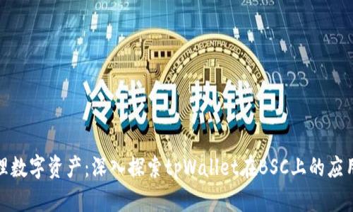 轻松管理数字资产：深入探索tpWallet在BSC上的应用与优势