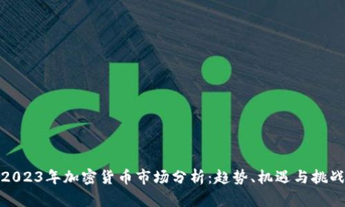2023年加密货币市场分析：趋势、机遇与挑战