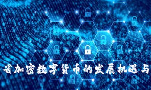 海南省加密数字货币的发展机遇与挑战