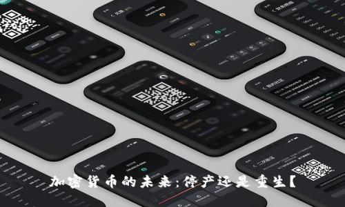 加密货币的未来：停产还是重生？