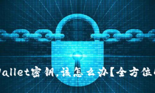 如果忘记tpWallet密钥，该怎么办？全方位解决方案大全
