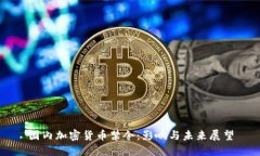 国内加密货币禁令：影响