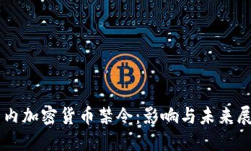 国内加密货币禁令：影响与未来展望
