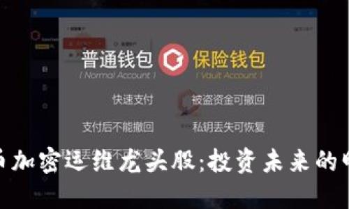 数字货币加密运维龙头股：投资未来的明智选择
