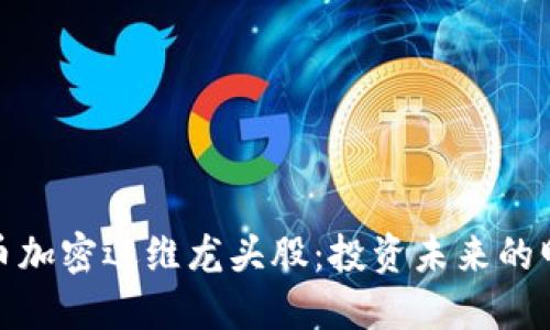 数字货币加密运维龙头股：投资未来的明智选择