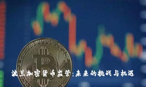 波兰加密货币监管：未来的挑战与机遇