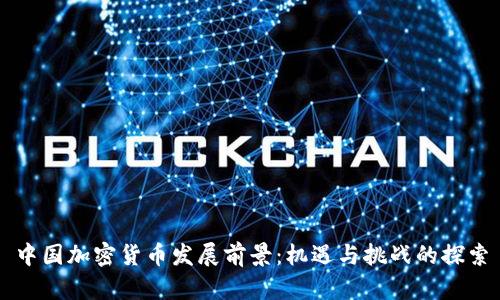 中国加密货币发展前景：机遇与挑战的探索
