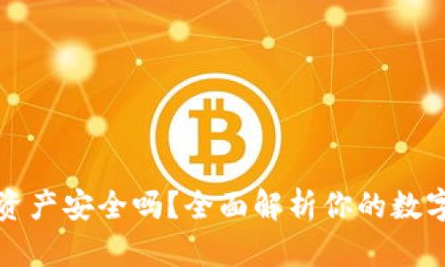 tpWallet里的资产安全吗?全面解析你的数字资产保护之道