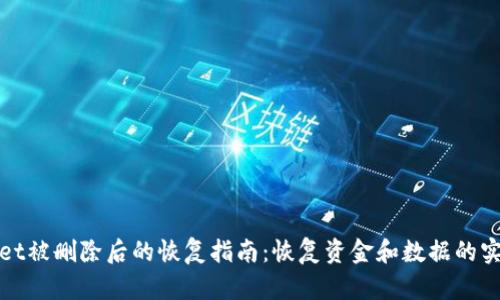 tpWallet被删除后的恢复指南：恢复资金和数据的实用技巧