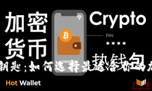掌握财富的钥匙：如何选择最适合你的加密货币应用