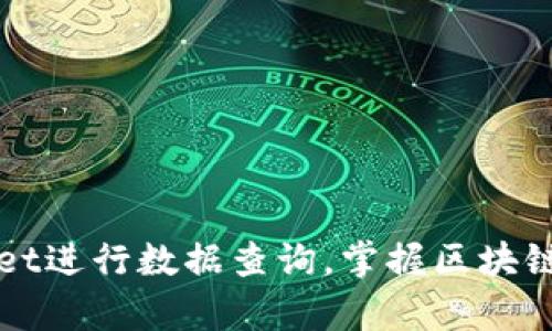 如何高效运用tpWallet进行数据查询，掌握区块链资产管理的实用技巧