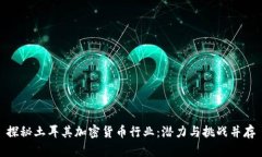 探秘土耳其加密货币行业