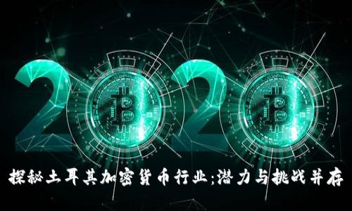 探秘土耳其加密货币行业：潜力与挑战并存