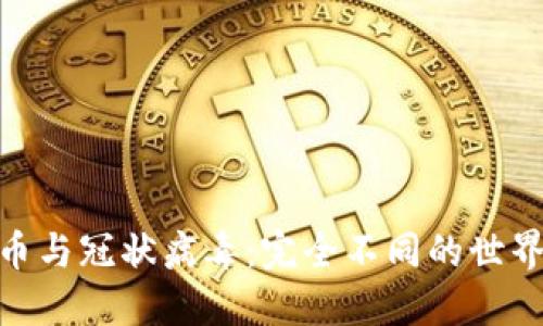 加密货币与冠状病毒：完全不同的世界与影响