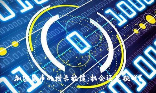 加密货币的增长放缓：机会还是挑战？