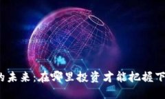 加密货币的未来：在哪里投资才能把握下一个风