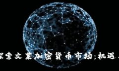 深入探索文莱加密货币市场：机遇与挑战