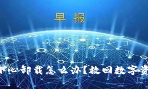  tpWallet不小心卸载怎么办？救回数字资产的实用指南