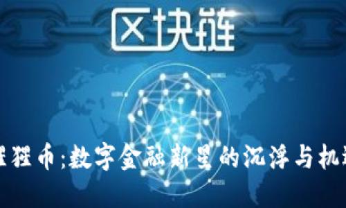 《猩猩币：数字金融新星的沉浮与机遇》