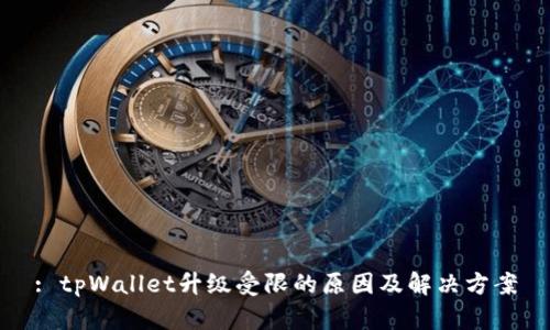 : tpWallet升级受限的原因及解决方案