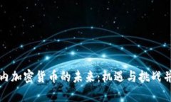 国内加密货币的未来：机