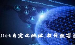 如何利用tpWallet自定义地址