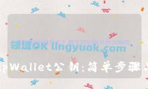 如何导出tpWallet公钥：简单步骤与实用技巧