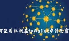 如何使用私钥在tpWallet中修