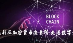 探索阿尔及利亚加密货币