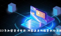 2023年加密货币分析：洞察
