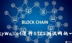 如何使用tpWallet进行BTCS测