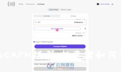 探索加密货币的CAPM模型：