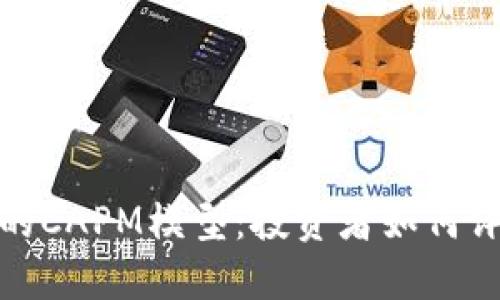探索加密货币的CAPM模型：投资者如何评估风险与回报