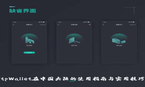 tpWallet在中国大陆的使用指南与实用技巧