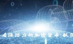 探索2024年最具看涨潜力的