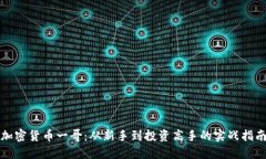加密货币一哥：从新手到