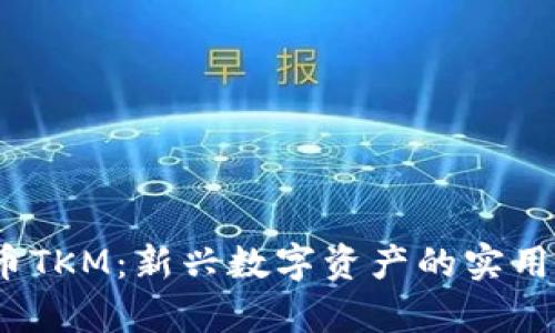 2023年加密货币TKM：新兴数字资产的实用价值与投资前景