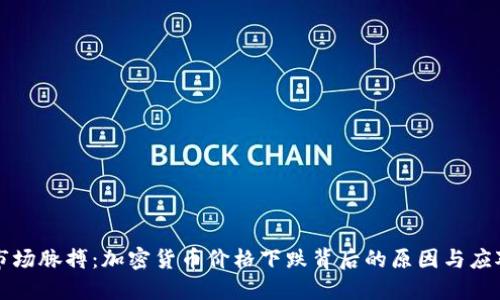 掌握市场脉搏：加密货币价格下跌背后的原因与应对策略