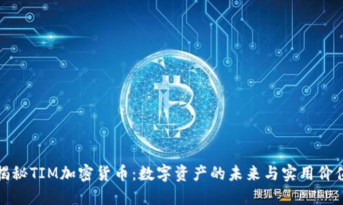 揭秘TIM加密货币：数字资产的未来与实用价值