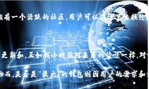 tpWallet是一款面向加密货币用户的钱包应用，它提供了安全存储、管理和交易多种数字资产的便利。尽管tpWallet在业界中备受关注，但是否是“最大的钱包”这一说法可能需要进一步的具体标准来界定。

以下是一些关于tpWallet的特点及其在市场中的定位：

### tpWallet的主要特点

tpWallet以其用户友好的界面和强大的安全特性而闻名。它支持多种主流加密货币，用户可以轻松进行转账、收款以及交换不同的数字资产。同时，tpWallet还提供了多重签名和私钥管理等功能，以增强用户资产的安全性。

### 市场竞争

市场上有许多钱包应用，比如MetaMask、Trust Wallet和Ledger等。这些钱包各自有着不同的功能和用户基础。在这样的竞争环境中，tpWallet的特色和发展潜力显得尤为重要。

### 用户体验

tpWallet的设计注重用户体验，界面简洁，操作流畅。作为一个普通用户，我也曾经对多种钱包进行过尝试，最终选择了tpWallet，是因为它使我能够轻松管理我的加密资产，而没有繁琐的步骤和复杂的设置。

### 安全性的重要性

对于一个钱包应用来说，安全性是首要考量。tpWallet通过多重验证和加密技术来保护用户的资产。我记得自己最初接触加密货币时，曾因某钱包的安全漏洞而损失了部分资产。这次经历让我更加重视钱包的安全性，而tpWallet在这方面给了我很大的信心。

### 个人化功能与社区支持

tpWallet不仅提供常规的钱包功能，还允许用户自定义某些设置，例如交易通知、资产分类等。同时，tpWallet拥有一个活跃的社区，用户可以在这里交换经验和获取实时的信息。我常常在微信群中分享一些关于tpWallet的使用心得，这让我的经验分享变得更有意义。

### 未来展望

随着区块链技术的发展，tpWallet的未来充满了可能性。它可能会随着新的技术进步和用户需求的变化而不断更新和。正如我小时候对未来的憧憬一样，对tpWallet的未来也是充满期待的。

总的来说，tpWallet是一个值得关注与尝试的数字钱包应用，在其功能和安全性上都体现了现代技术的优势。然而，是否是“最大”的钱包则因用户的需求和使用习惯而异。每个人在选择钱包时，应该考虑到安全性、使用体验和具体需求等多个方面。