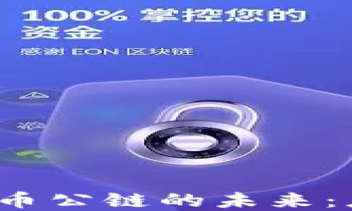 
探索数字加密货币公链的未来：应用、挑战与机遇
