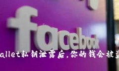 tpWallet私钥泄露后，你的钱
