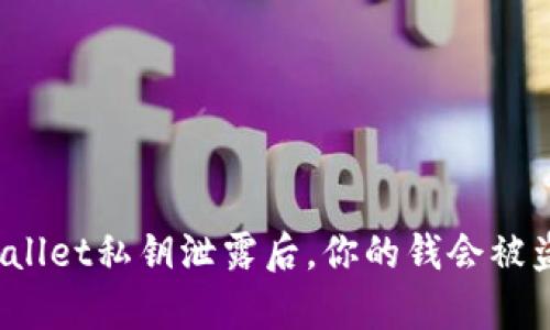 tpWallet私钥泄露后，你的钱会被盗吗？