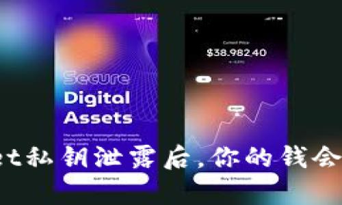 tpWallet私钥泄露后，你的钱会被盗吗？