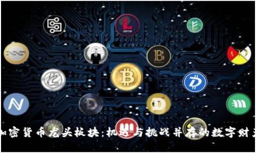 全球加密货币龙头板块：机遇与挑战并存的数字财产蓝海