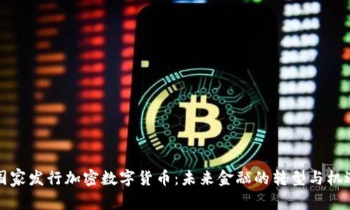 国家发行加密数字货币：未来金融的转型与机遇