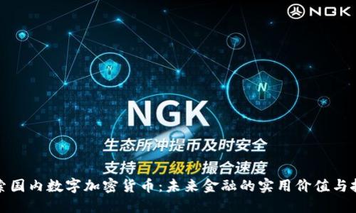 探索国内数字加密货币：未来金融的实用价值与挑战